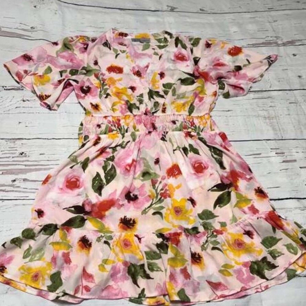 Absolutely Famous Floral V-Neck Smocked Waist Ruffle Hem Mini Dress Pink Medium